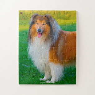 Puzzle Notre Rough Collie, l'animal de compagnie de notre