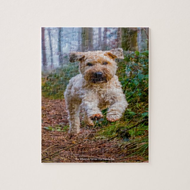 Puzzle Notre Terrier Wheaten, l'animal de compagnie de no (Vertical)