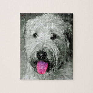 Puzzle Notre Terrier Wheaten, l'animal de compagnie de no