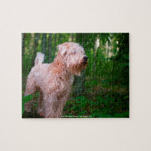 Puzzle Notre Terrier Wheaten Notre Famille Animaux Domest
