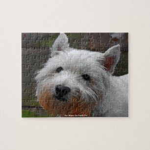 Puzzle Notre Westie Notre Animal De Famille