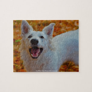 Puzzle Notre White Swiss Shepard Notre Famille Animatrice