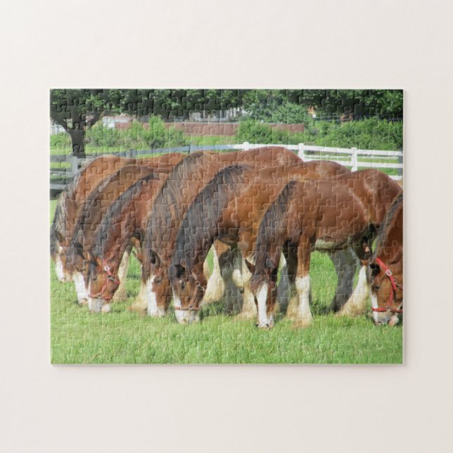 Puzzle Nourriture des chevaux dans un champ (Horizontal)