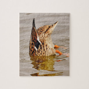 Puzzle Nourriture sous-marine du canard colvert