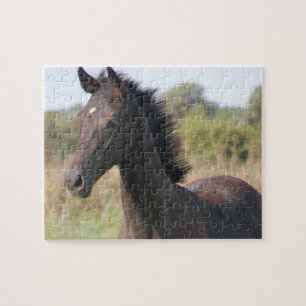Puzzle Nouveau poney/cheval