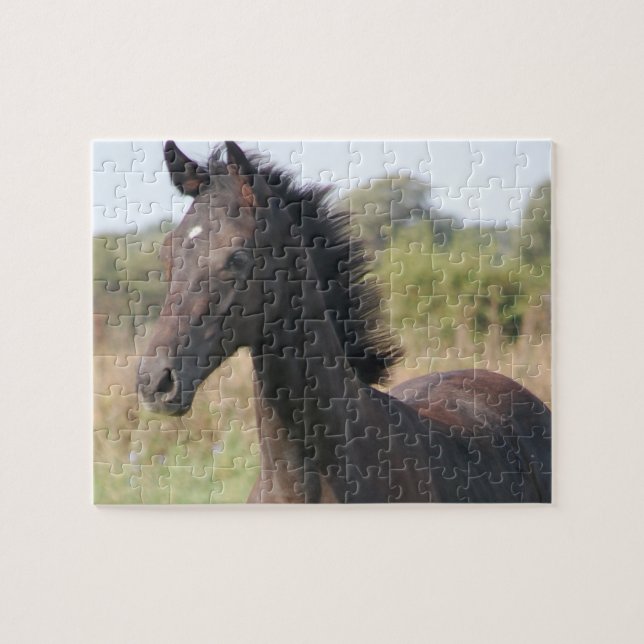 Puzzle Nouveau poney/cheval (Horizontal)