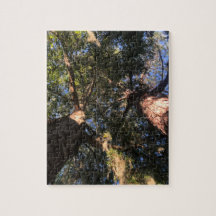 Nouvelle perspective