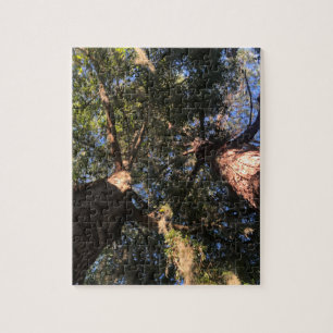 Puzzle Nouvelle perspective