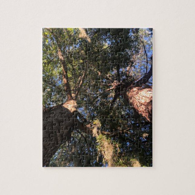 Puzzle Nouvelle perspective (Vertical)