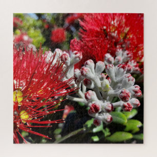 Puzzle Nouvelle-Zélande Pohutukawa Arbre rouge fleurs