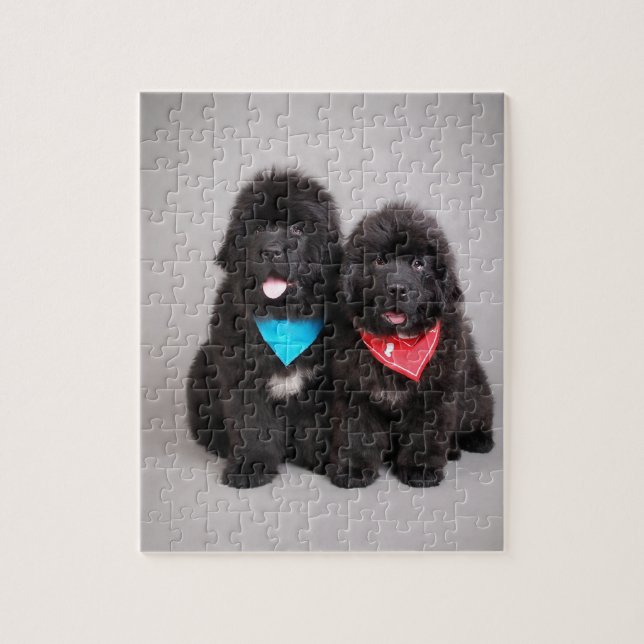 Puzzle Nuwfie (Vertical)