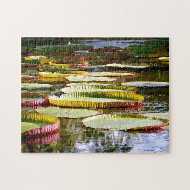 Puzzle Nymphéas. (Horizontal)