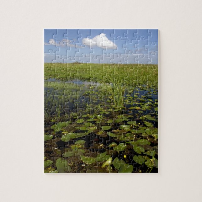 Puzzle Nymphéas et scirpe à feuilles de jonc dans les Eve (Vertical)