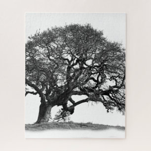 PUZZLE OAK TREE