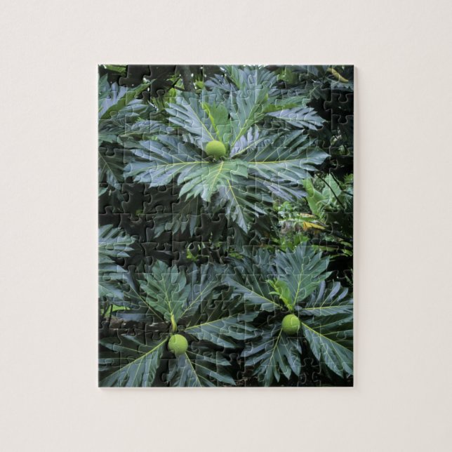 Puzzle Océanie, Pacifique Sud, Polynésie française, (Vertical)