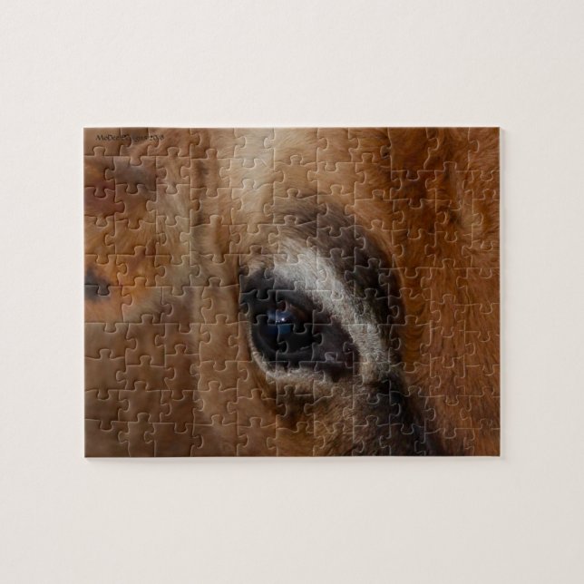 Puzzle Oeil de la vache (Horizontal)