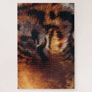 Puzzle Œil de tigre doré gros plan faune