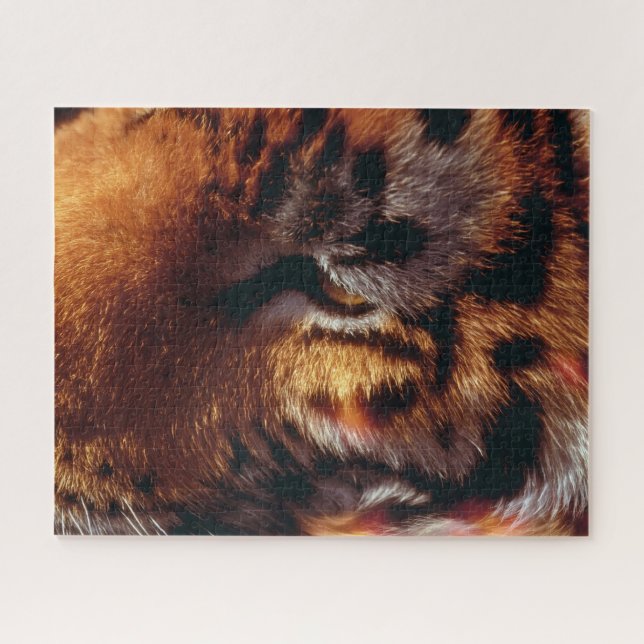 Puzzle Œil de Tigre Doré Gros Plan Faune  (Horizontal)