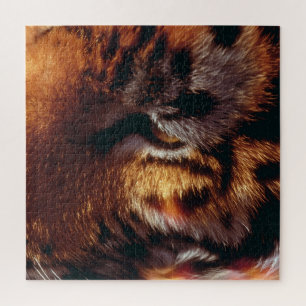 Puzzle Œil de Tigre Doré Gros Plan Faune