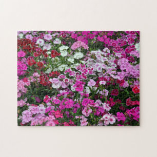 Puzzle Oeillets roses