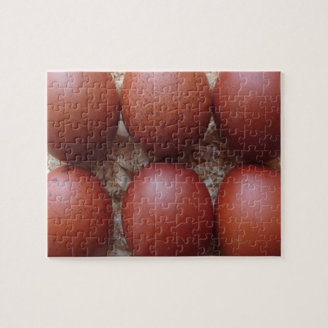 Puzzle - oeufs de poulet de Marans (Horizontal)