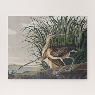 Puzzle Œuvre d'art vintage d'oiseau Courlis à long bec d'