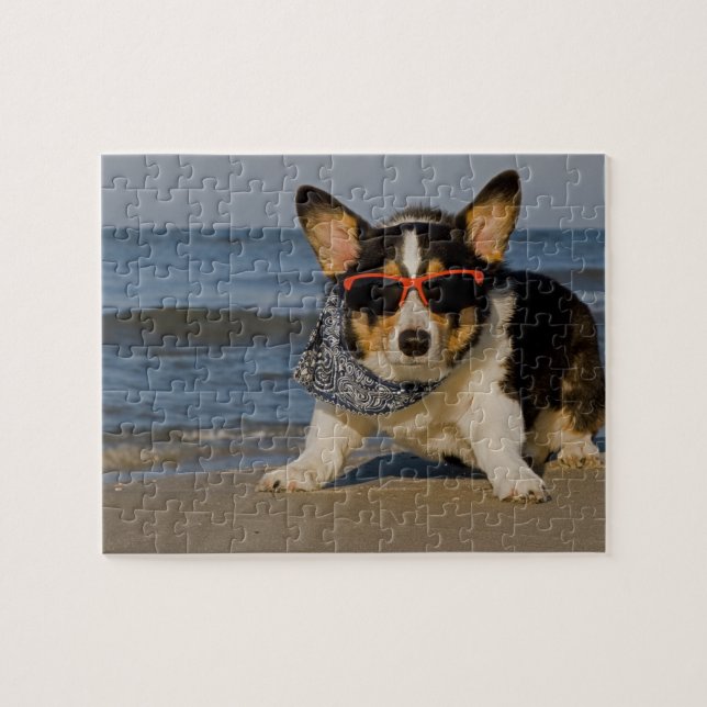 Puzzle Officier de patrouille de plage (Horizontal)