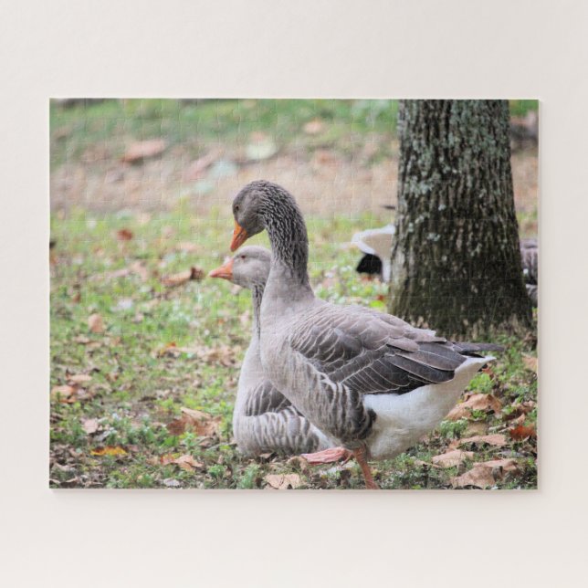 Puzzle Oie (Horizontal)