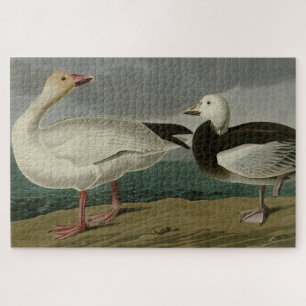 Puzzle Oie des neiges des oiseaux d'Amérique d'Audubon