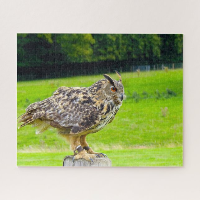 Puzzle Oiseau-Aigle de Prey. (Horizontal)