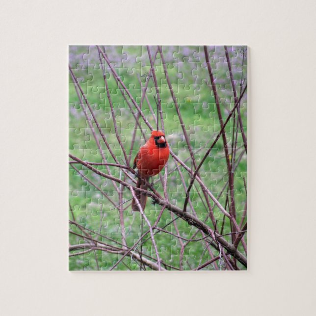 Puzzle Oiseau cardinal rouge assis sur la branche (Vertical)