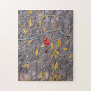Puzzle Oiseau cardinal rouge en automne Saison Arbre Natu