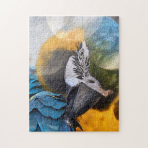 Puzzle Oiseau couleur perroquet