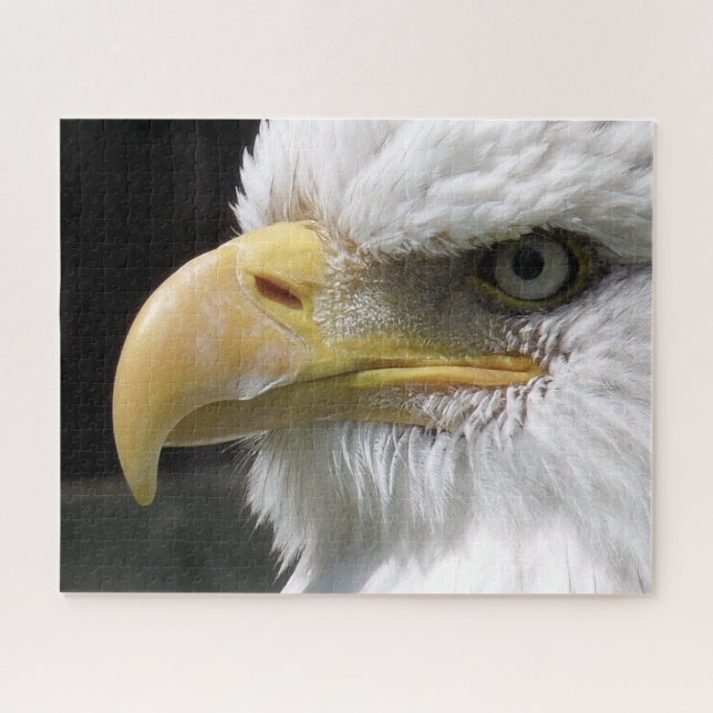 PUZZLE OISEAU D'AGLE (Horizontal)