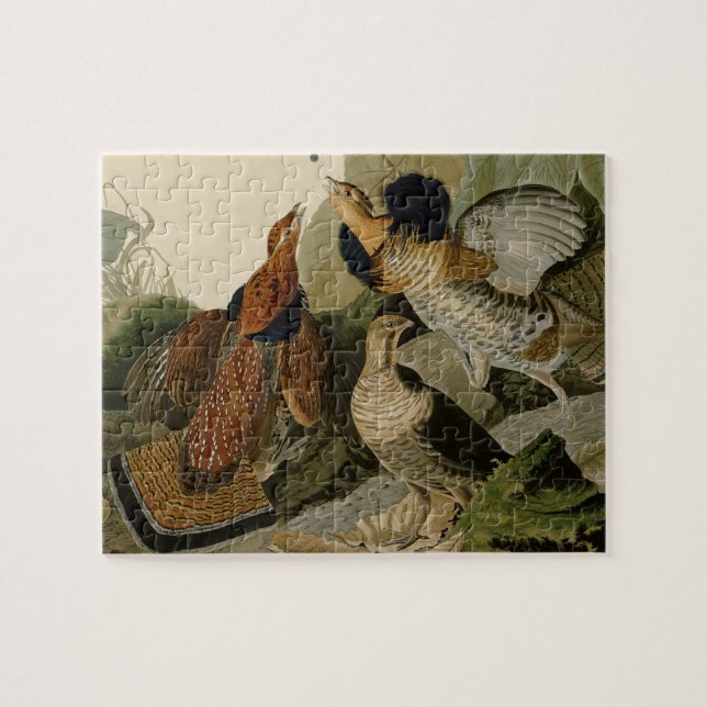 Puzzle Oiseau de gibier Audubon (Horizontal)