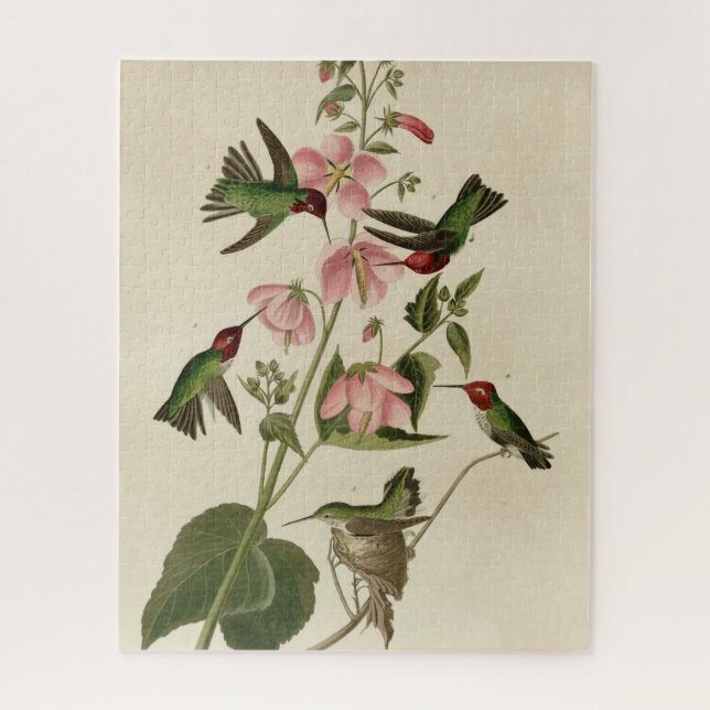 Puzzle Oiseau de Humming - Oiseaux d'Audubon (Vertical)