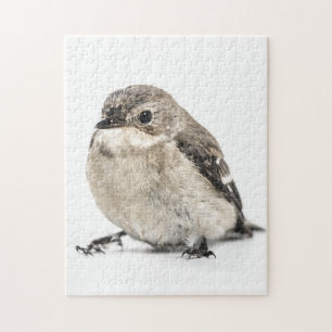Puzzle Oiseau de jardin
