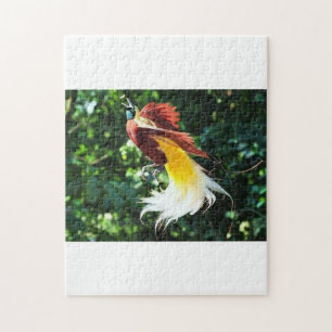 Puzzle Oiseau-de-Paradis