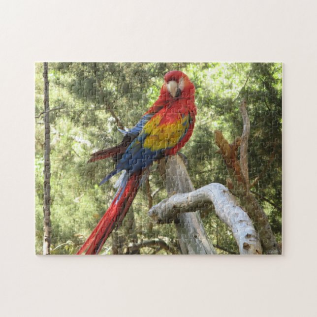 Puzzle Oiseau de perroquet Tropical Coloré (Horizontal)
