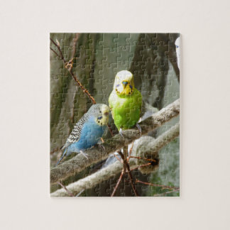 Puzzle Oiseau de perruche