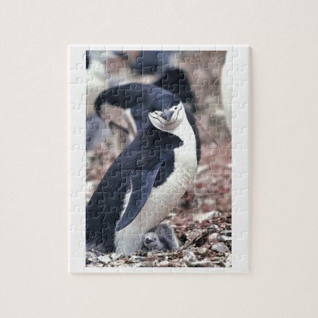 Puzzle Oiseau de pingouin mignon animal noir eau blanche (Vertical)