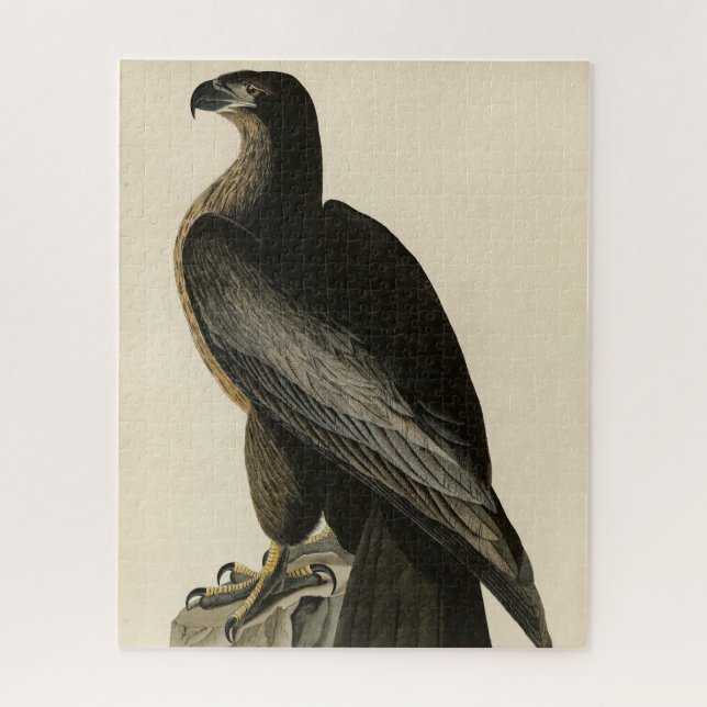 Puzzle Oiseau de Washington d'Audubon's Birds of America (Vertical)