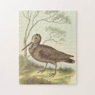 Puzzle Oiseau debout sur le sol, regard Vintage