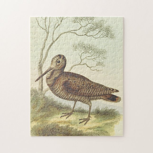 Puzzle Oiseau debout sur le sol, regard Vintage (Vertical)