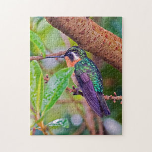 Puzzle Oiseau du Costa Rica - Colibri à gorge enflammée