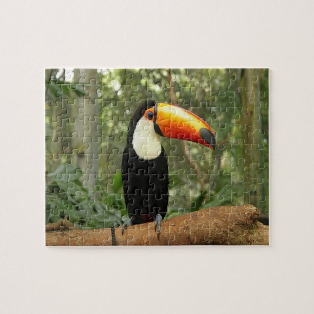 Puzzle Oiseau du Toucan sur la branche de l'arbre (Horizontal)