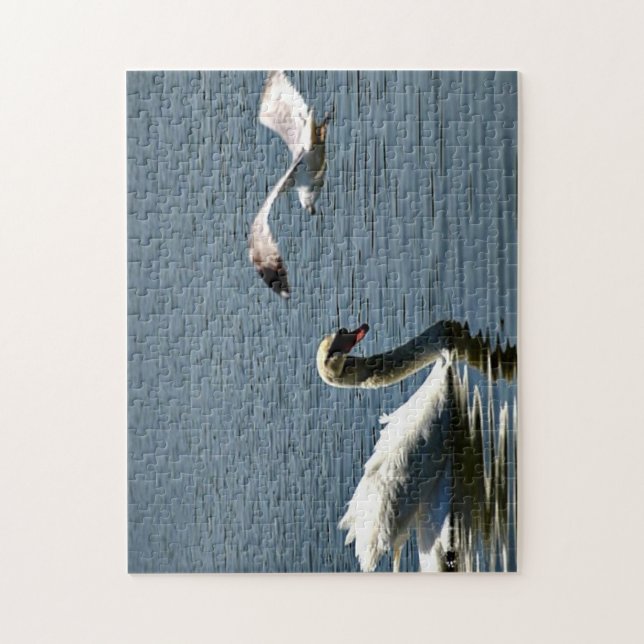 Puzzle Oiseau et cygne (Vertical)