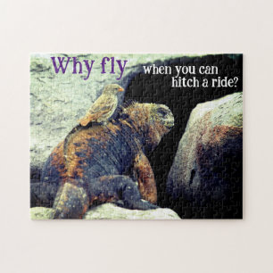 Puzzle Oiseau et Iguana marine