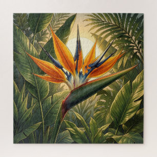 Puzzle Oiseau exotique de Paradis Coucher de soleil Jungl