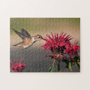 Puzzle Oiseau roux colibri vol ailes fleur